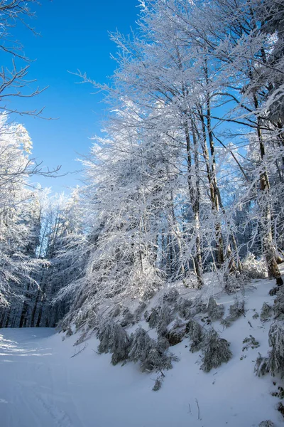 雪山的风景 — 图库照片