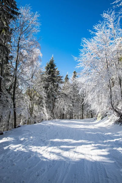 Paesaggio Montagne Invernali Innevate — Foto Stock