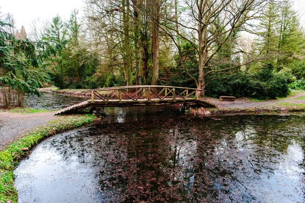 Mysig Autumal Park Med Nedfallna Löv Och Träbro — Stockfoto