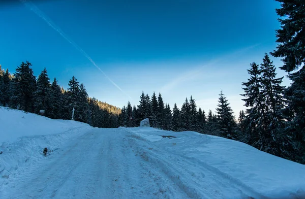 Bosque Invierno Con Abetos Nevados Esponjosos — Foto de Stock