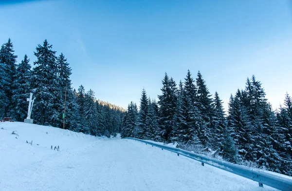 Bosque Invierno Con Abetos Nevados Esponjosos — Foto de Stock