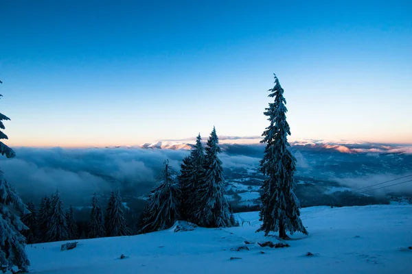 Avondrood Bij Avond Wintersneeuw Bedekt Landschap Van Bergen Met Naaldbomen — Stockfoto