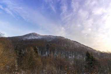 Mor günbatımı gökyüzü ve ağaçlar ile manzara 