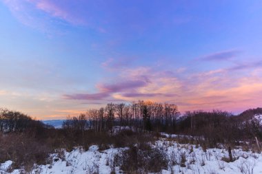 parlak renkli gün batımında gökyüzünde ormandaki ağaçlar ile kış sezonu 