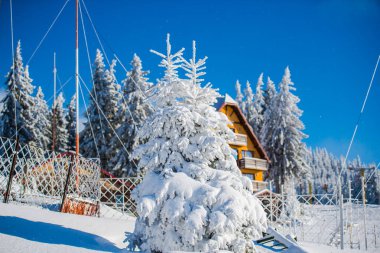 Kış karla kaplı dağlar manzara ağaçlar ve ev, tatil ve ski resort 