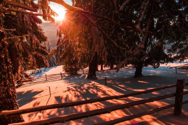 pembe günbatımı ve karla kaplı ağaçlar kış sezonu, ahşap çit 