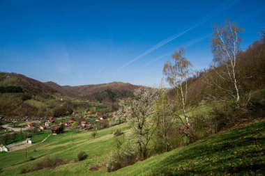 Güneşli gündüz dağların Manzara