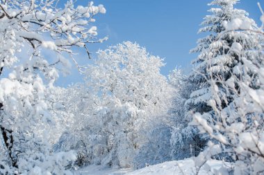 Karlı kış Dağları peyzaj