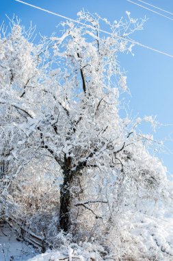 Karlı kış Dağları peyzaj