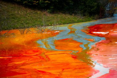 Kırmızı kirli göl su ve bitkiler, ekosistem kirliliği