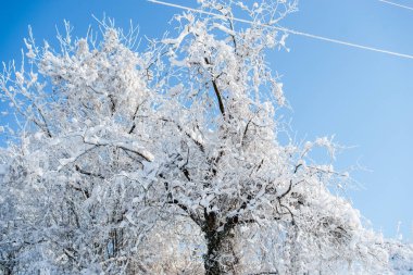 Karlı kış Dağları peyzaj