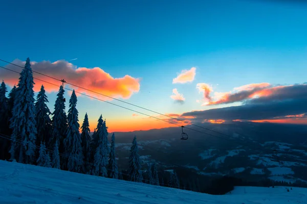 Cielo Atardecer Estación Invernal Árboles Coníferas Cubiertos Nieve Nubes — Foto de Stock