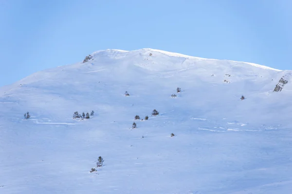 Сніг Покритий Гірським Пагорбом Взимку — стокове фото