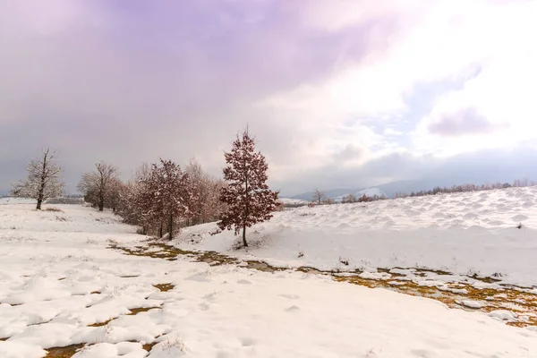 Beau Ciel Rose Violet Coucher Soleil Dans Paysage Rural Avec — Photo