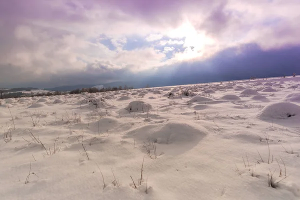 Hermoso Cielo Violeta Puesta Sol Campo Cubierto Nieve Prado Campo —  Fotos de Stock