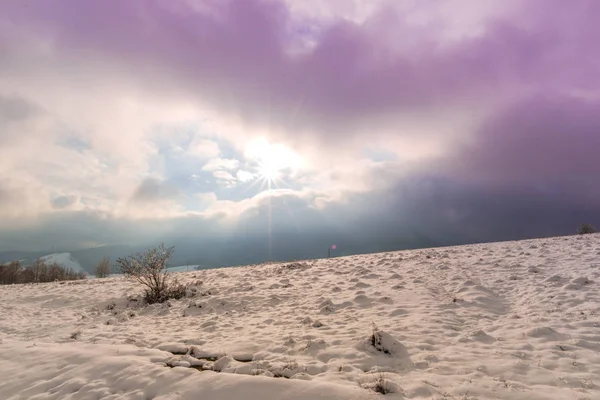 Beautiful Violet Sunset Sky Countryside Snow Covered Meadow Field Landscape — Stock Photo, Image