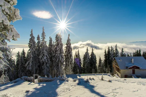 雪の降る冬の山の風景 — ストック写真