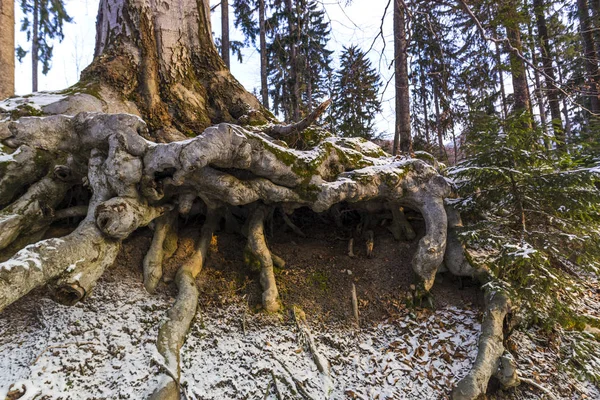 Krajobraz Śnieżnych Zimowych Gór — Zdjęcie stockowe