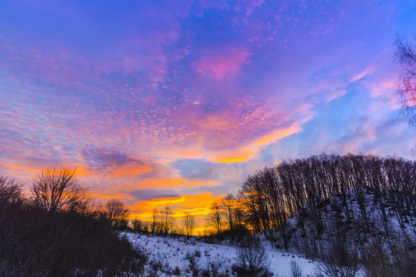 Яскравий Барвистий Захід Сонця Небі Деревами Лісі Зимовий Сезон — стокове фото