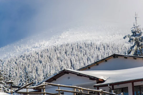 Kış karla kaplı dağlar manzara ağaçlar ve ev, tatil ve ski resort 
