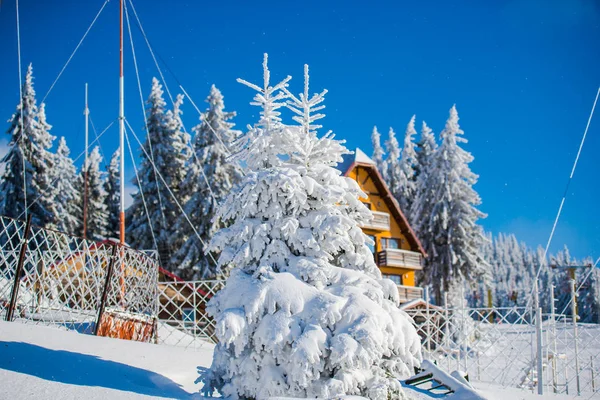 winter snow covered mountains landscape with trees and house, vacation and ski resort