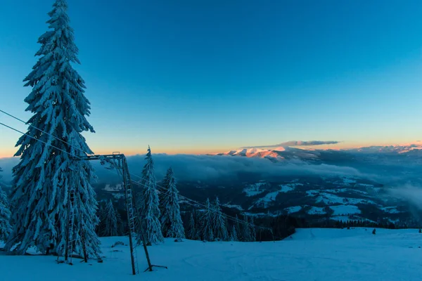 Estação Inverno Árvores Coníferas Cobertas Neve Céu Por Sol — Fotografia de Stock