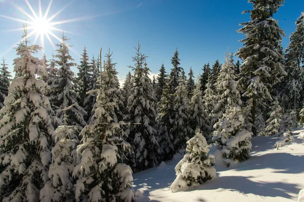 雪の降る冬の山の風景 — ストック写真