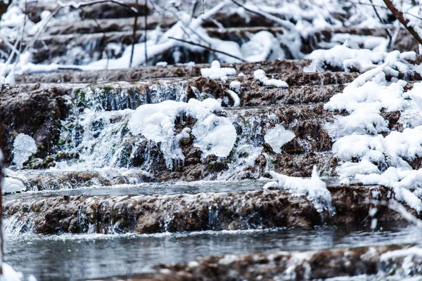 Podrobnosti Zimním Lese Přírodním Pozadí — Stock fotografie