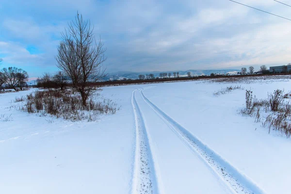 snow covered nature landscape in countryside