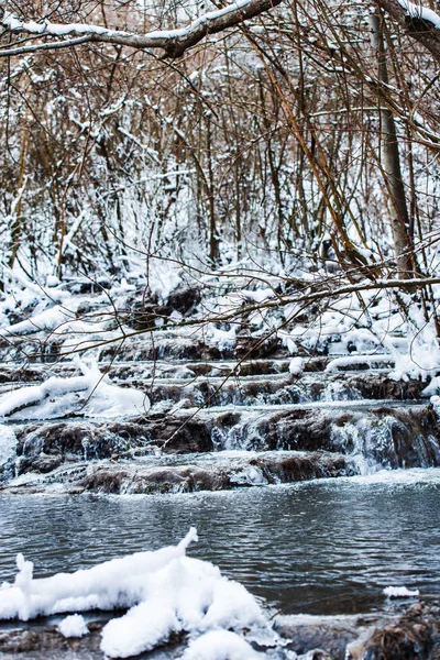 Detalles Bosque Invierno Fondo Natural — Foto de Stock