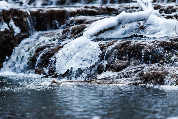 Detalles Bosque Invierno Fondo Natural — Foto de Stock