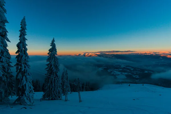 Vintersäsongen Snötäckta Barrträd Och Solnedgång Sky — Stockfoto