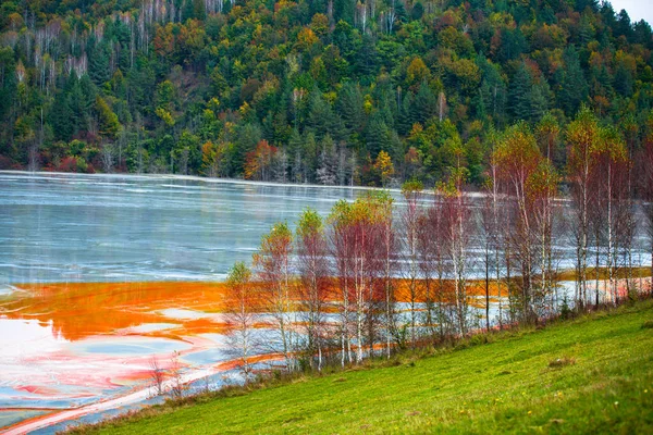 Agua Contaminada Roja Del Lago Bosque Con Árboles — Foto de Stock
