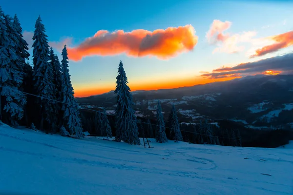 Hóval Borított Fenyőfák Napnyugtakor Narancsszínű Felhők Téli Erdő — Stock Fotó