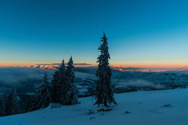 Kar Kış Orman Çam Ağaçları Günbatımı Gökyüzü Ile Kaplı — Stok fotoğraf