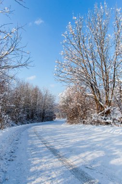 Karlı kış Dağları peyzaj