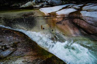 Bahar ormanında soğuk dere.