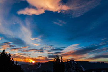 gün batımı gökyüzü ve ağaçlar siluetleri 