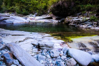 Bahar ormanında soğuk dere.