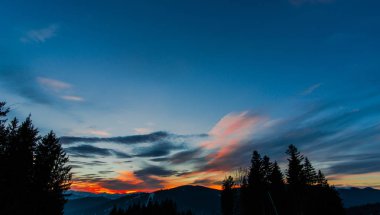 gün batımı gökyüzü ve ağaçlar siluetleri 
