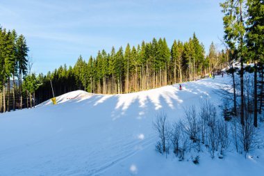 Romanya 'nın Clabucet kentinde kış kayak merkezi.