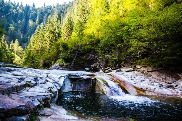 Холодний Струмок Весняному Лісі — стокове фото