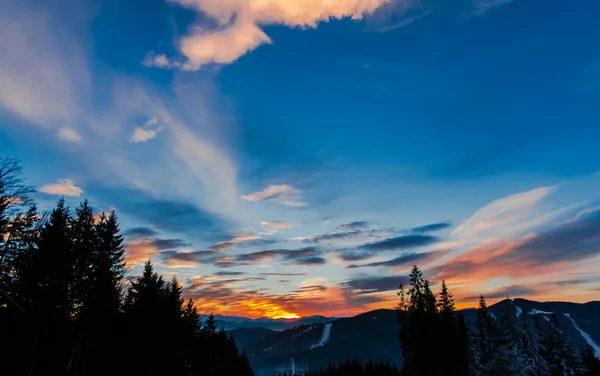 Solnedgången Himmel Och Träd Siluetter — Stockfoto