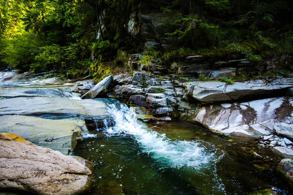 Cold Stream Spring Forest — Stock Photo, Image