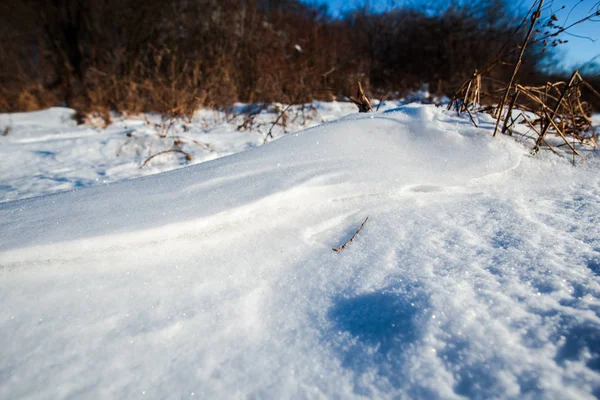 Paysage Enneigé Hiver — Photo