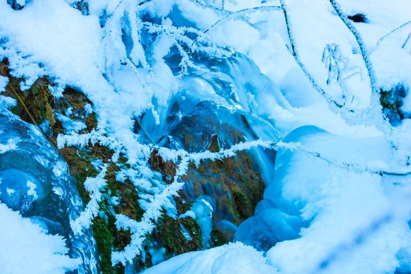 Details Van Winterbos Natuurlijke Achtergrond — Stockfoto