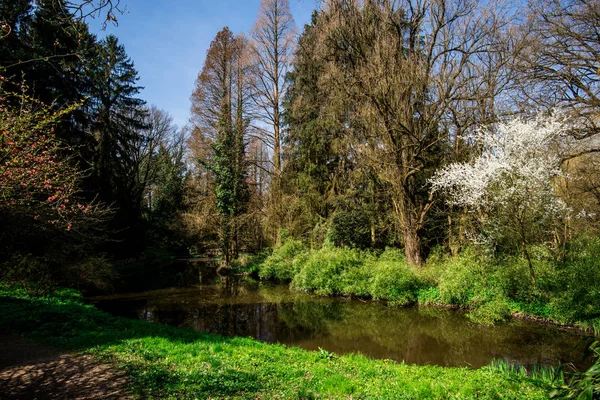 Parque Primavera Con Árboles Estanque — Foto de Stock