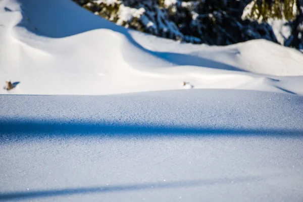 Paesaggio Innevato Inverno — Foto Stock