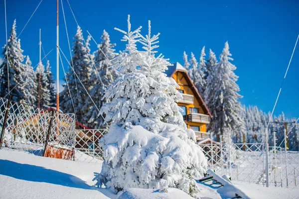 winter snow covered mountains landscape with trees and house, vacation and ski resort