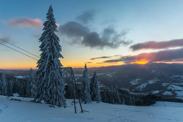 Bosque Invierno Cubierto Nieve Con Pinos Cielo Atardecer — Foto de Stock